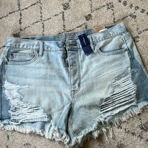 AE Vintage High Rise Festival Shorts
